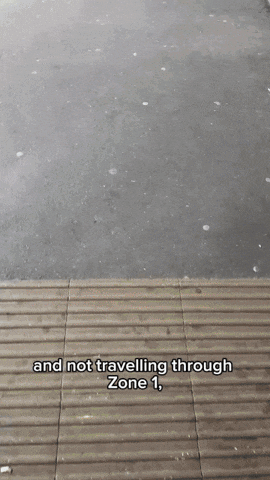 GIF by Transport for London
