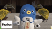 japan fly GIF