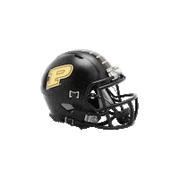 College Football Sticker by Riddell Sports