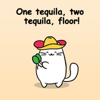 White Cat Fiesta GIF by MESA My Emotional Support Animal