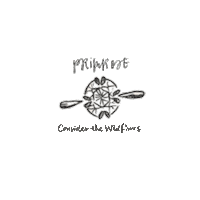 ctwf jewelry nashville diamond ring Sticker