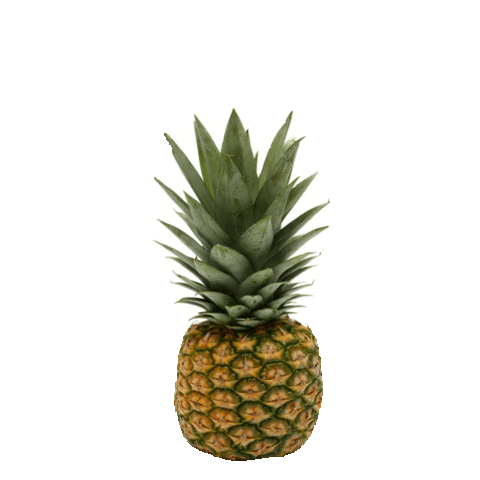 bounce fruit Sticker