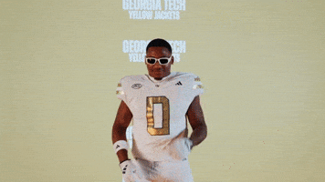 Georgia Tech Football Sport GIF by Georgia Tech Yellow Jackets