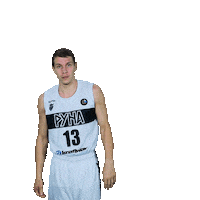 Basketball Basket Sticker by PBC Runa-basket