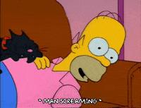 Season 3 Laugh GIF by The Simpsons