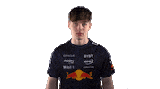 Red Bull Sr Sticker by Oracle Red Bull Racing