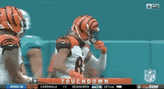 Regular Season Football GIF by NFL