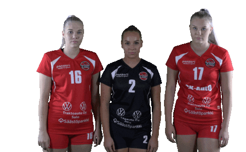 Sport Volleyball Sticker by LP Viesti