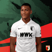 Football Bundesliga GIF by FC Augsburg 1907