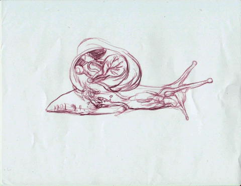 animation art GIF by Alex Boya