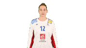 Celebrating France Sticker by EHF
