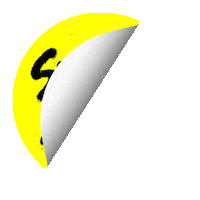 Tabas summer beach sun bitch Sticker