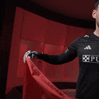 Roman Burki Stl GIF by St. Louis CITY SC