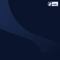 Handball Flensburg GIF by DAIKIN HBL