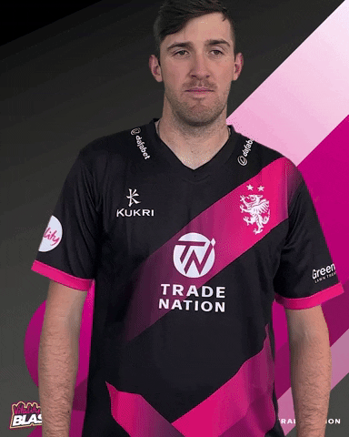 T20 Shrug GIF by Somerset County Cricket Club