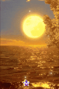 Sol Amigos GIF by Murcianys LLC