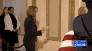Nancy Pelosi GIF