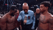 Sport Boxing GIF by SHOWTIME Sports
