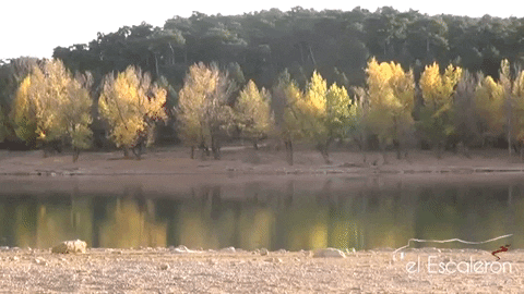 nandore giphygifmaker GIF