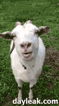 shot dentist GIF