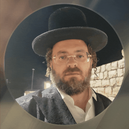 luzyostreicher giphygifmaker giphyattribution luzy ostreicher GIF