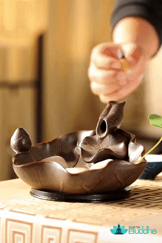 rilchinopong giphyupload GIF