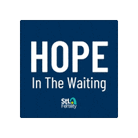 STLFertility stl fertility stlfertility hope in the waiting Sticker