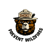 YCSL bear smokey 곰 곰돌이 Sticker