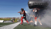 football gameday GIF by REDBLACKS