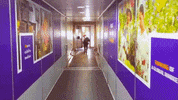 inflightfeed travel airport airline passenger GIF