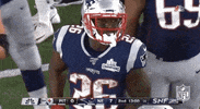 New England Patriots Football GIF by NFL