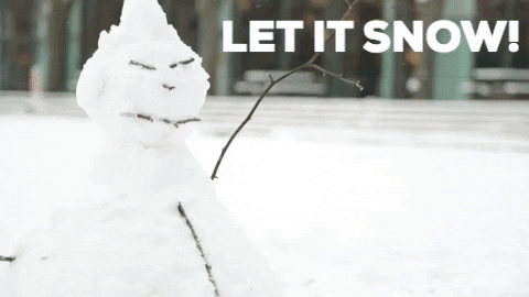 Snow Snowboarding GIF by Leuphana Universität Lüneburg