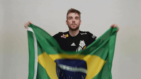 Rainbow Six Flag GIF by G2 Esports