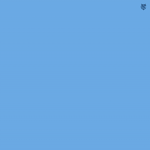 Major League Soccer Sport GIF by NYCFC