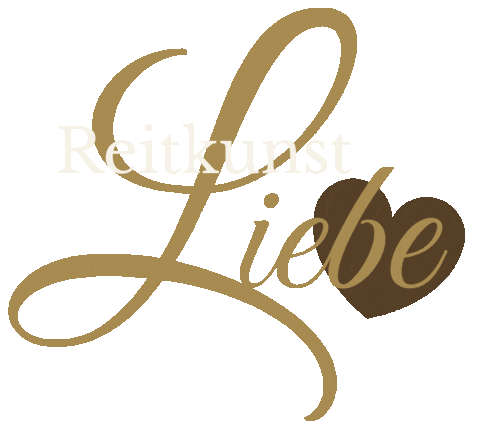 Horse Reiten Sticker by Reitkunstzentrum Südbaden