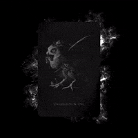 Smoke Owl GIF by Mezcal El Silencio