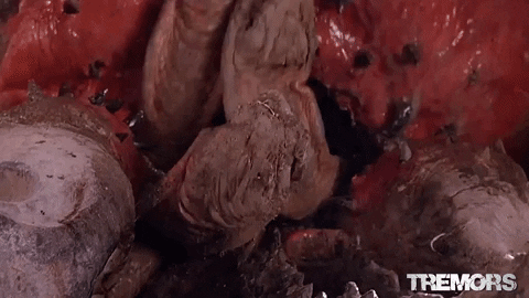 Tremors giphygifmaker snake perfection nevada GIF