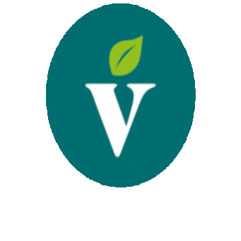 velivery giphygifmaker vegan veganfood velivery Sticker