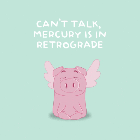 Flying Pig GIF by PositivelyPigasus