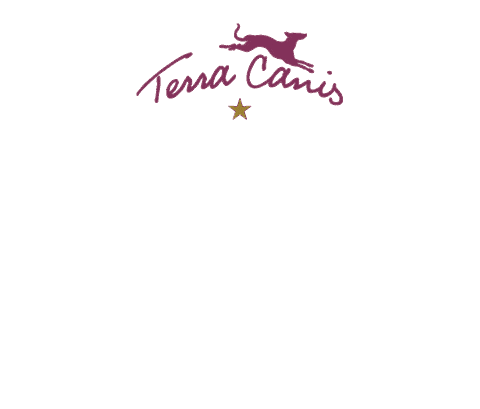 Fun Dog Sticker by Terra Canis