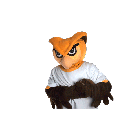 Ncaa Mascot Sticker by Rowan University