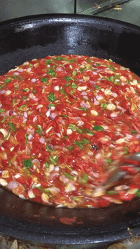 GIF by Our Second Nature