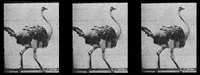black and white animation GIF by weinventyou