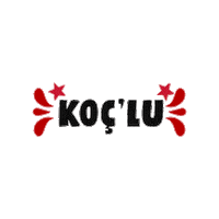 KocMezunlar university graduation grad universite Sticker