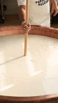 Cheese Parmesan GIF by Parmigiano Reggiano