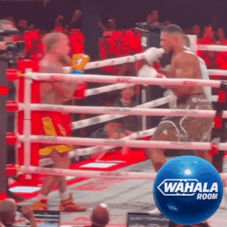 Knock Out Boxing GIF by Wahala Room