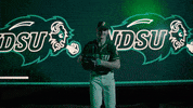 Ndsu Baseball GIF by NDSU Athletics