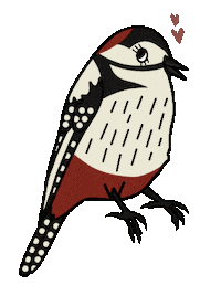 Bird Vogel Sticker by mahoniemoni