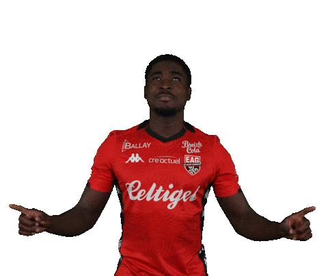 Ligue 2 Football Sticker by EA Guingamp
