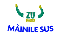 Hands Up Logo Sticker by Radio ZU